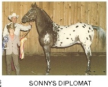 sonnysdiplomat1000