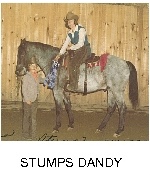 stumpsdandy