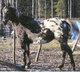 Neonconstellation7328