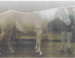 justamatteroftime7356