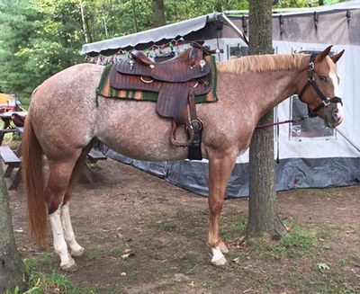 justaprettydoll7359a