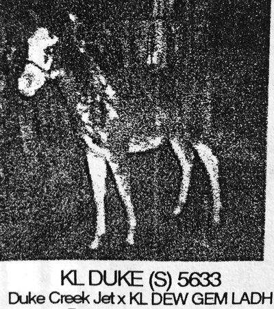 kl duke