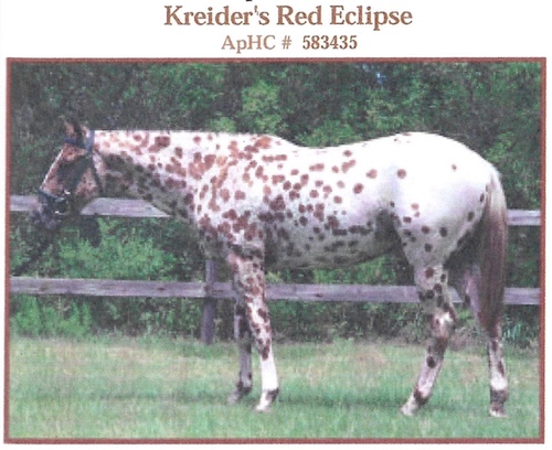 kreidersredeclipse