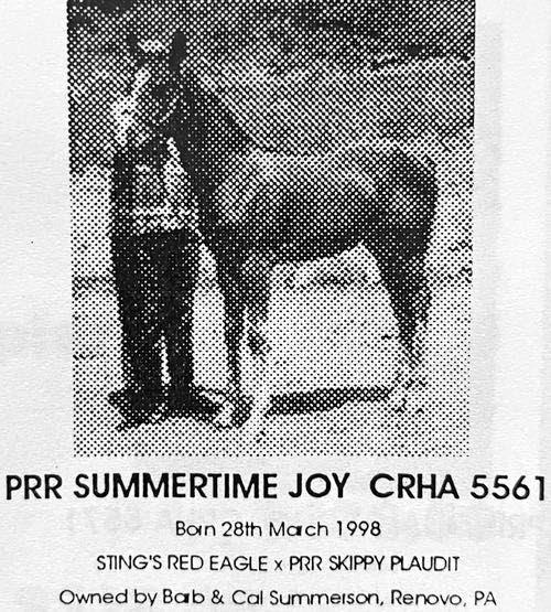 prr summertime joy
