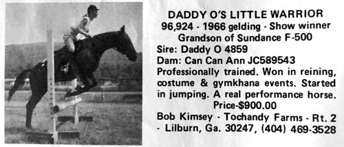 daddyoslittlewarrior