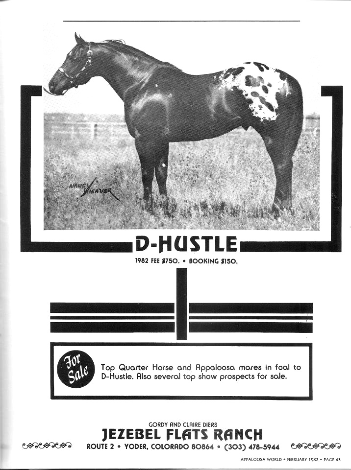 dhustle1ad