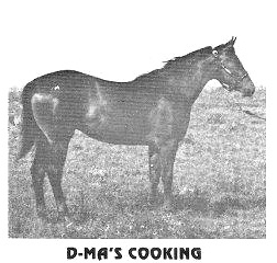 dmascookin