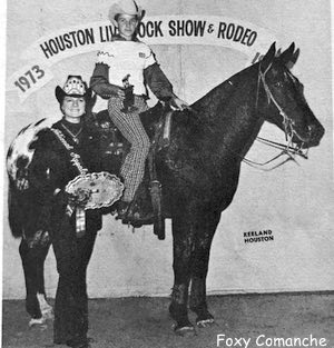foxy comanche