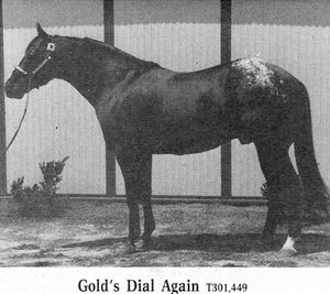 goldsdialagain