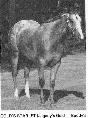 goldsstarlet