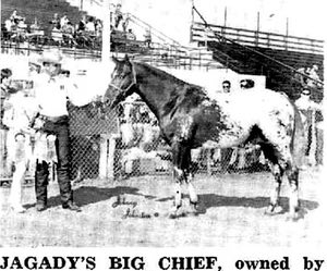 jagadysbigchief