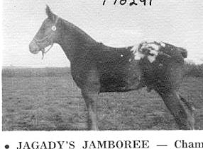 jagadysjamboree