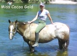 misscooagold2