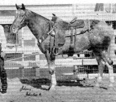 rackleyhotshot
