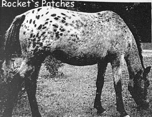 rocketspatches