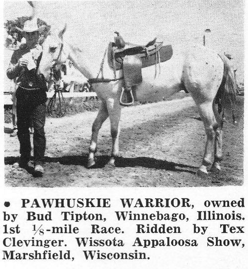 pawhuskieworrior