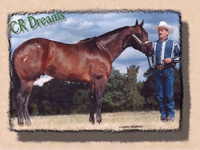 crdreams1992stallion