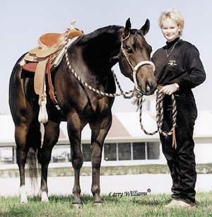 finalresume1997gelding