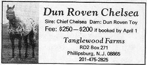 dunrovenchelsea3