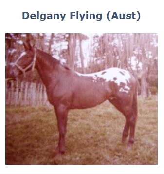 delganyflying