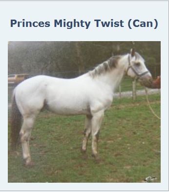 princesmightytwist