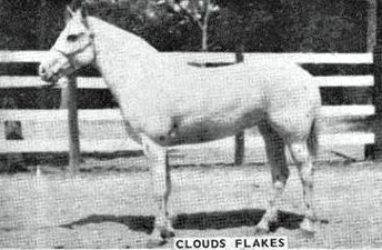 cloudsflakes