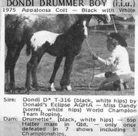 dondidrummerboy