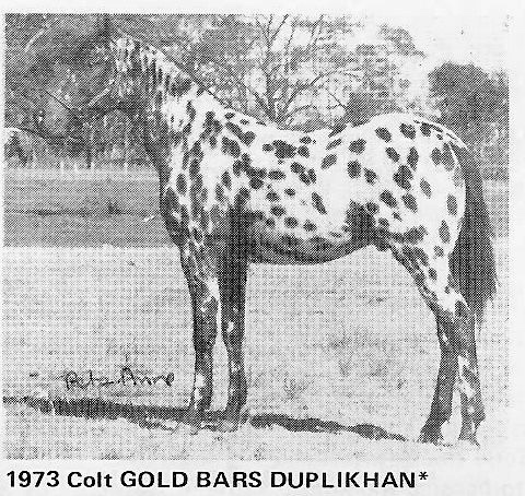 goldbarsduoplikhan