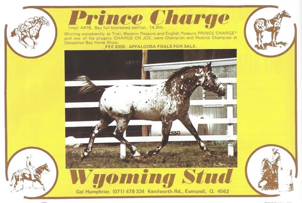 princecharge2