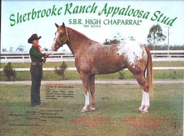 sbrhighchaparral