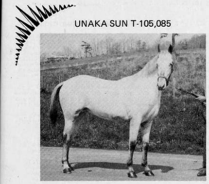 unakasun