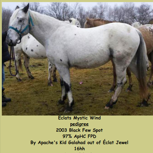 EclatsMysticWind