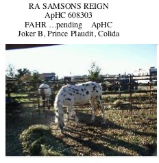 RASamsonsReign