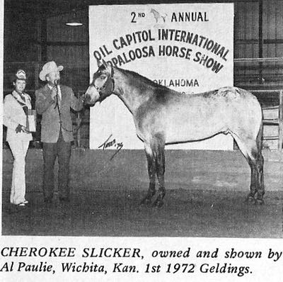 cherokeeslicker