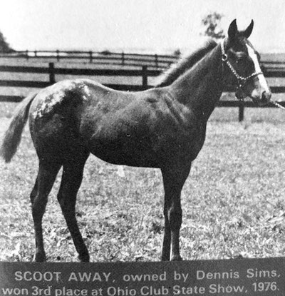 scoot away