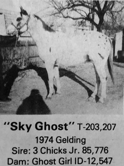 sky ghost