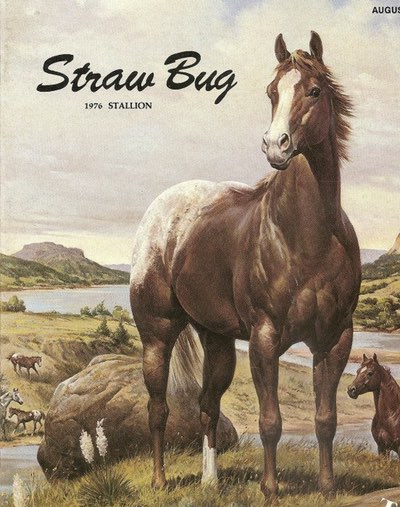 strawbug