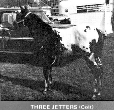 three jetters