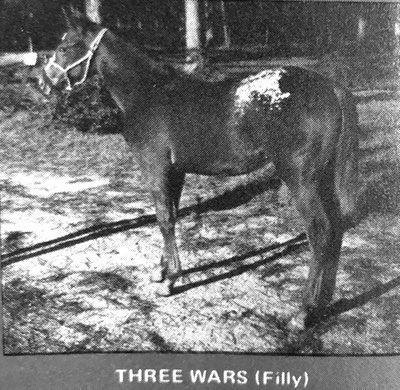 three wars