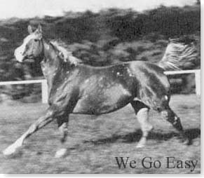 wegoeasy