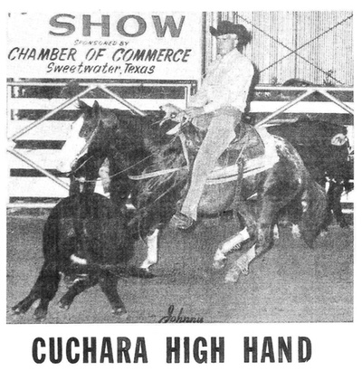 cucharahighhand2