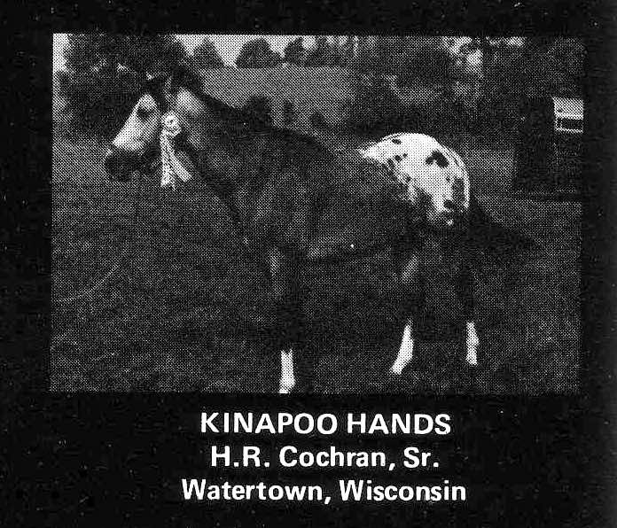 kinapoohands