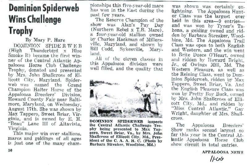 AN11-66 spiderweb