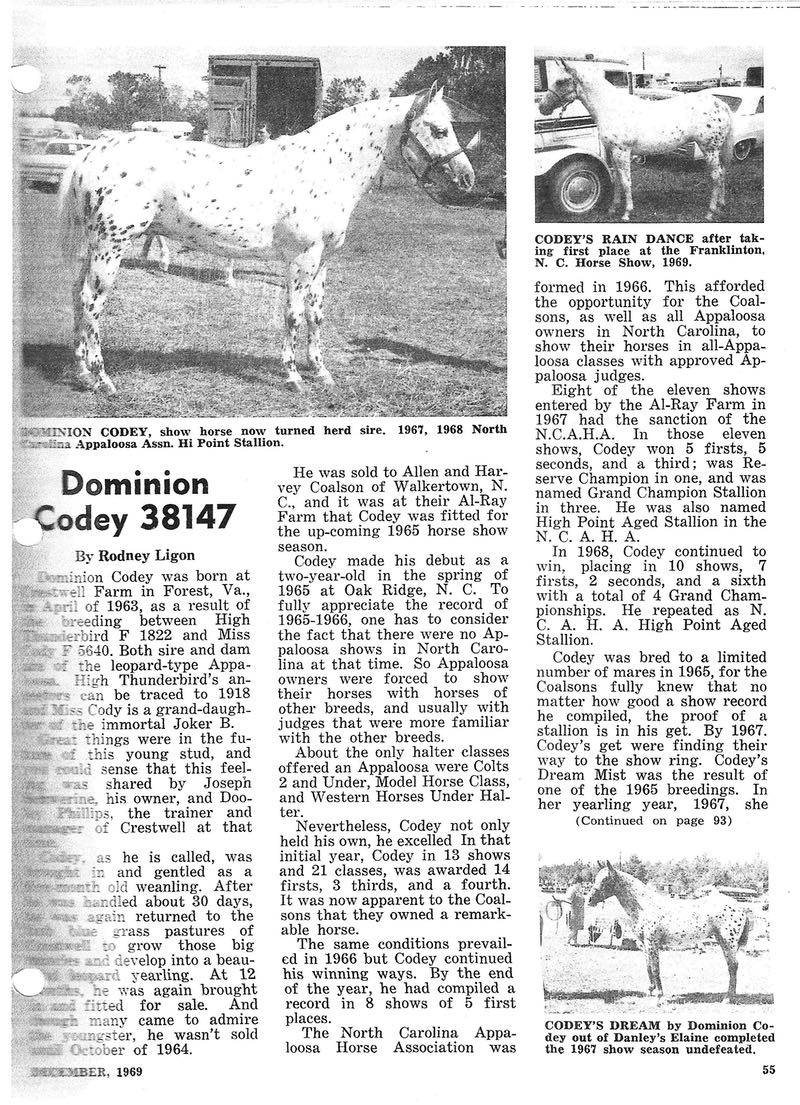 An12-69codey