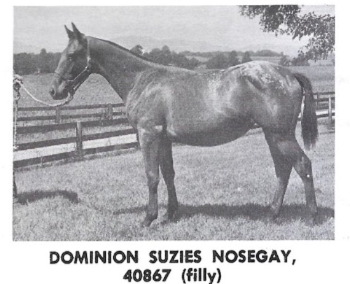 DominionSuziesNosegay