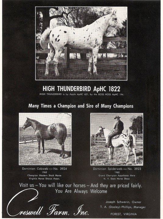 ad1highthunderbird