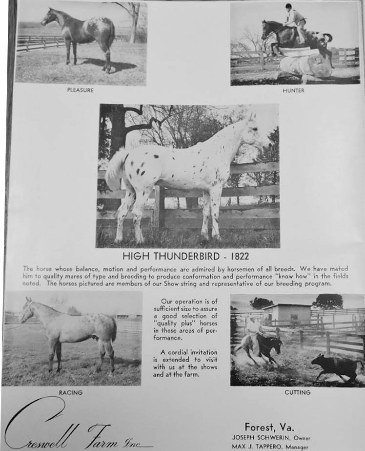ad3highthunderbird