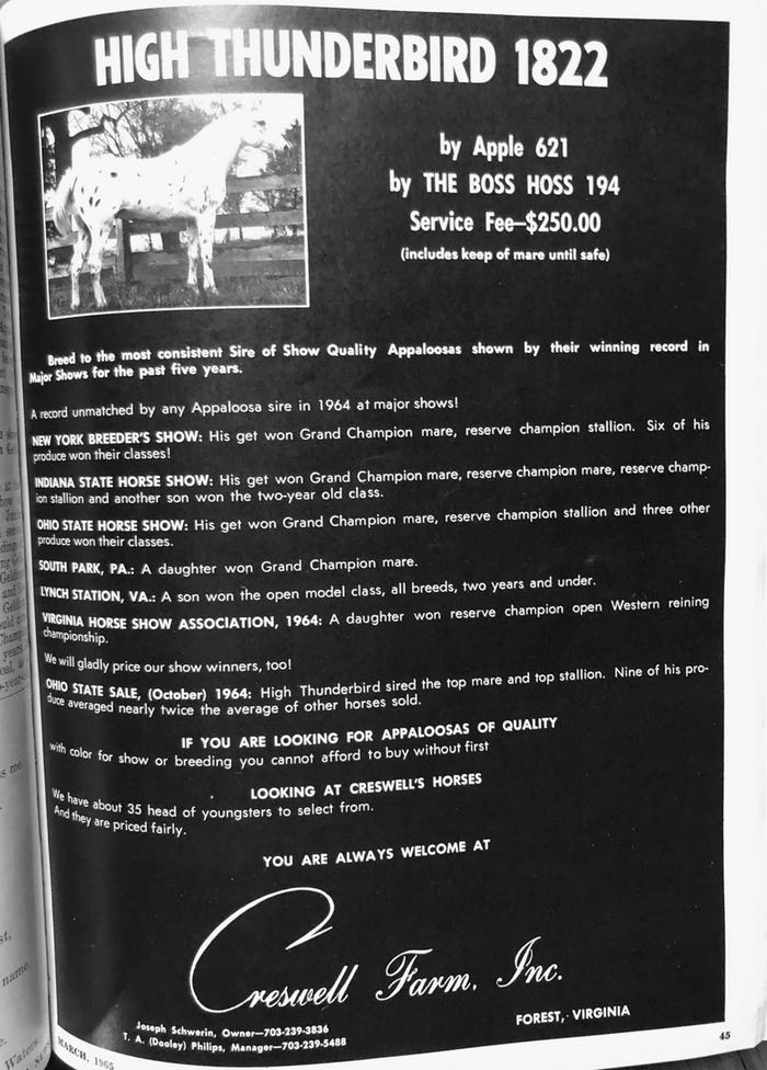 high t bird ad 2