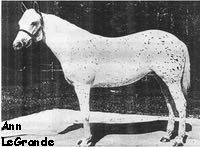 annlegrande