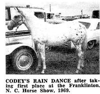 codeysraindance